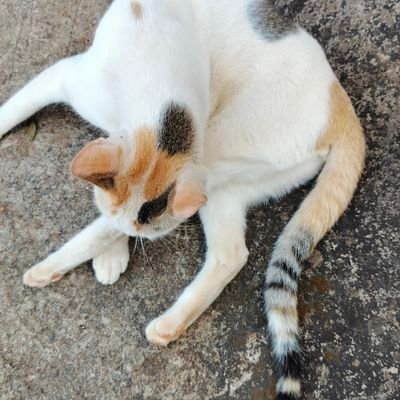 AvayM47924's profile picture. 