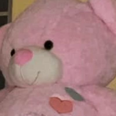 palmdt's profile picture. 