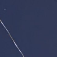 n_pptr's profile picture. 寝取られ/23