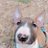 Mecton2123's profile image