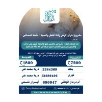 لُقمان لفعل الخير (@logmanm2) 's Twitter Profile