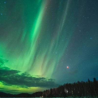 R3ddxZilla's profile picture. 