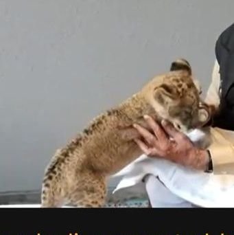 zeemzeem174's profile picture. 