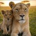 Celtic Afrikaner 🇿🇦🇿🇦🇿🇦 (@ligindiedonker) Twitter profile photo Celtic Afrikaner 🇿🇦🇿🇦🇿🇦 (@ligindiedonker) Twitter profile photo