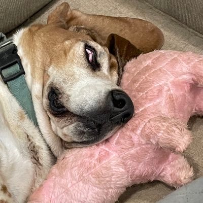 Jacさんのプロフィール画像