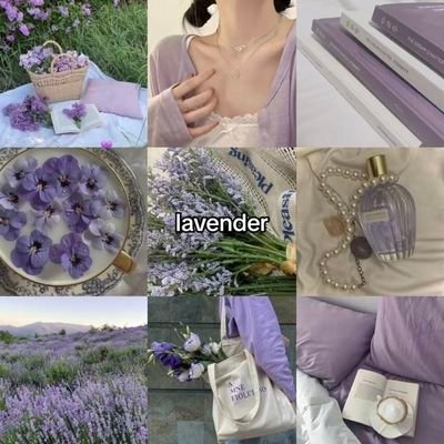 AbelLily68239's profile picture. 