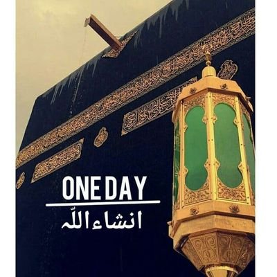 getHussainX's profile picture. 