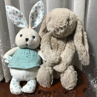 vbmy🦋🦋🦋 (@vbmy173408) 's Twitter Profile