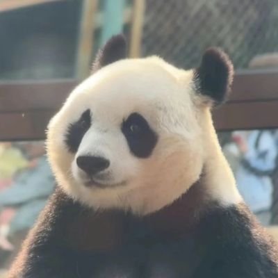 jiji113337's profile picture. 每天在线，24小时内必回关