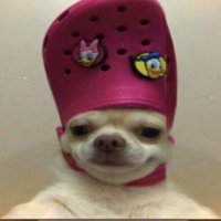 Tohstedba (@tohthegamer) 's Twitter Profile Photo Tohstedba (@tohthegamer) 's Twitter Profile Photo