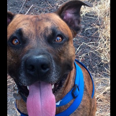 Wils85754Wilson's profile picture. 