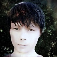 SatireRabbit (@satirerabbit) 's Twitter Profile