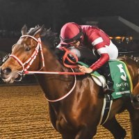 RaceBook (@racebook35) 's Twitter Profile