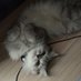 เอ็กเซล 😾 (@ten_toast) Twitter profile photo เอ็กเซล 😾 (@ten_toast) Twitter profile photo