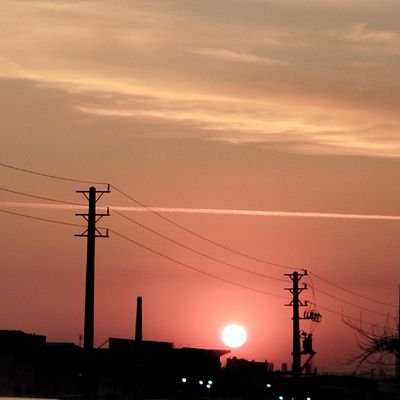 SaiidM141300's profile picture. 