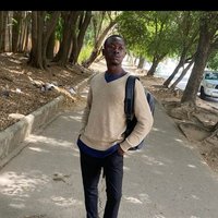 Desmond Ibibia (@dibibia3756) 's Twitter Profile