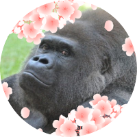 💢🏩痔衛隊🏩💢 (@zi_end_of_life) 's Twitter Profile Photo 💢🏩痔衛隊🏩💢 (@zi_end_of_life) 's Twitter Profile Photo