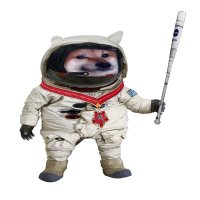 Son of Space Fella (@sonofspacefella) 's Twitter Profile