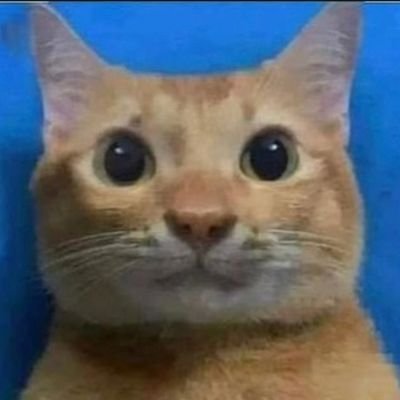 cyberatul's profile picture. Lost Traveller.