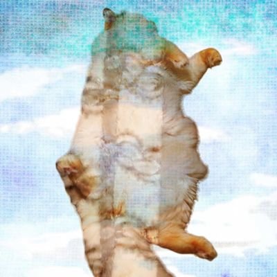 jmt8456's profile picture. 🧶🧵ᝰ✍🏻✩꙳🖍🖌
お問い合わせはDMにて✉️🙏  𝑵𝑮👵🦁🤢🙅🏼‍♂️      🙆🏻‍♀️🇯🇵 🕊鳥派🐦
