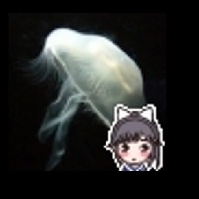 もけタオorもけタロスさんのプロフィール画像