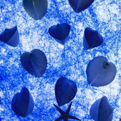 Yaapum_de's profile picture. 3yrs👦&1yr👧 📚🧶🎞️🎮🧸