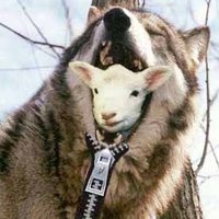 L41N3Y (@k0mat0est) 's Twitter Profile
