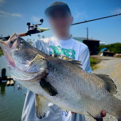 Kuros1ba_J's profile picture. 関西の陸からベイトタックルで色々してる夏の人