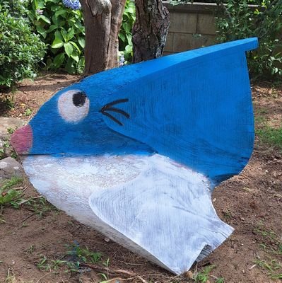 shomama730's profile picture. 