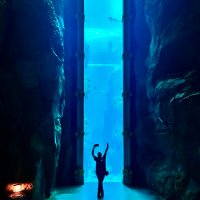 Sarrah (@siiel12) 's Twitter Profile Photo