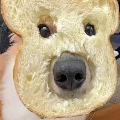 AndreasSnape's profile picture. Horsey outdoors person   content creator  European & Anglo-Celt  technology cannot be *fragile 🥢 😐  I wear my mask to protect others because theirs don't work