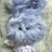 SarielQS0419's profile image