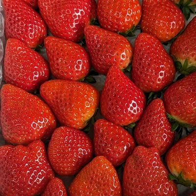 Saga_itigo3's profile picture. 佐賀県のイチゴ農家｜

ベンチプレスマスターズ66㌔級ジャパンクラシック標準突破を目標にしています

｜佐賀県小城市の地元ネタ多数｜