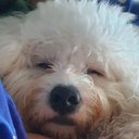 Blazej Orlowski - @GrabOnMyThighs - Twitter