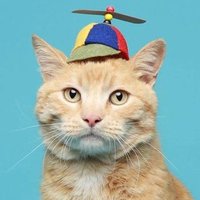 Axel (@brandnewaxel) 's Twitter Profile Photo Axel (@brandnewaxel) 's Twitter Profile Photo