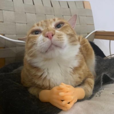 sugaryeyo's profile picture. in between loving bangtan and reading books and gushing over cute things ε(´｡•᎑•`)っ 💕