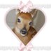oolaaaa (@alelcked) Twitter profile photo oolaaaa (@alelcked) Twitter profile photo