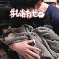 🐟🐥さかなぴょ🏴‍☠️⚓️🎀🐾♌️🌸 (@sakanapiyo_mt) Twitter profile photo