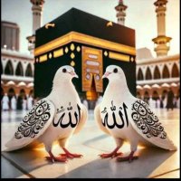 🇹🇷🇹🇷♥️❤ÖZGÜR DEĞİRMENCİ 🇹🇷🇹🇷♥️❤ (@zgrdegirmenci48) 's Twitter Profile