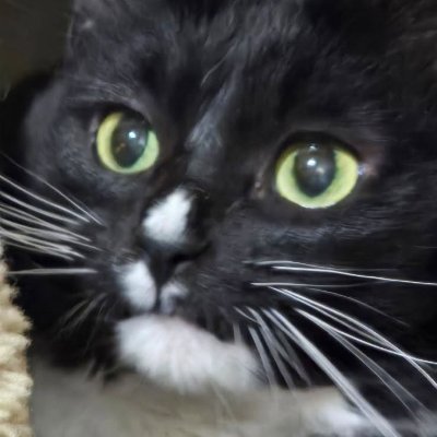 BretE73's profile picture. Stare into my eyes!