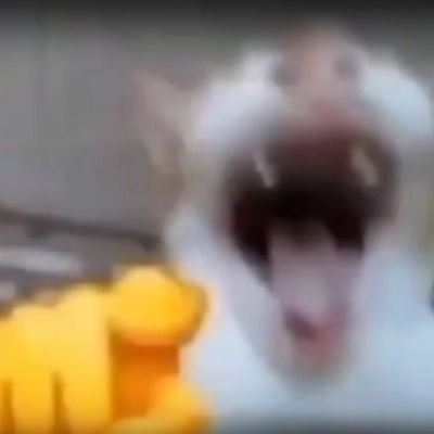 Charles22520539's profile picture. I don't think too hard about bios.