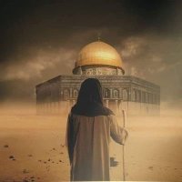 أبو عائشة 🚀🦅 (@hatemhamaad) 's Twitter Profile