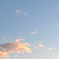 ︎︎☾ (@o1686d) Twitter profile photo