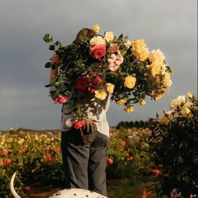 zzz14327688's profile picture. 