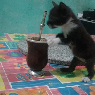 maxmilessi1990's profile picture. 