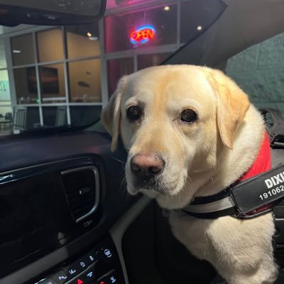 Blackstone28409's profile picture. 