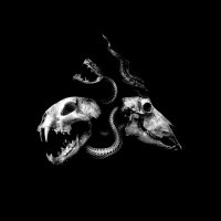 Chimaira (@chimairaband) 's Twitter Profile