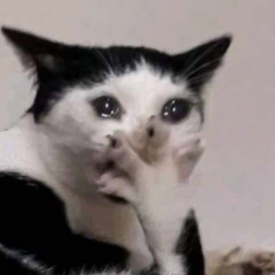 AFKVINHVIEN's profile picture.