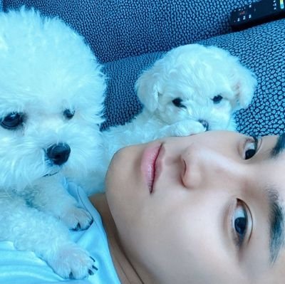 bluerabbitanna's profile picture. Life is short but memories are forever.

If someone smiles at you, it's because you did something right.

We will challenge eternity. -HOSHI CARATLAND 2025