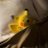 NW_ST_ND_S's profile image